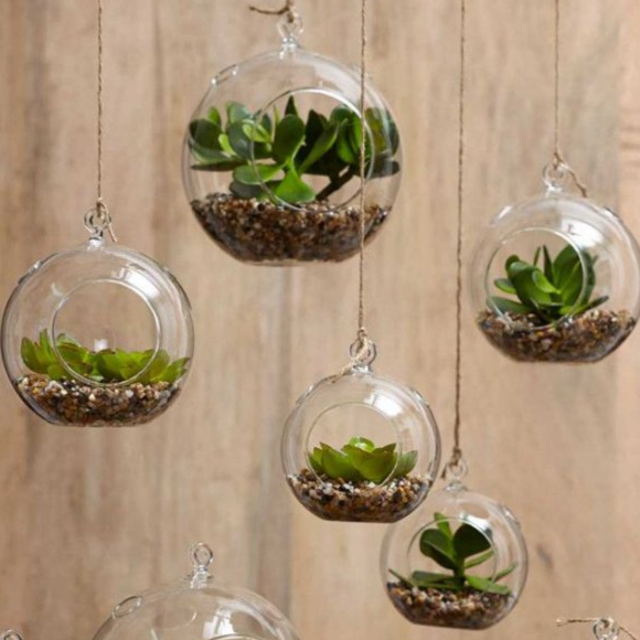 where can I buy glass planter terrarium