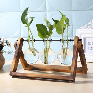 buy hanging hydroponic vase