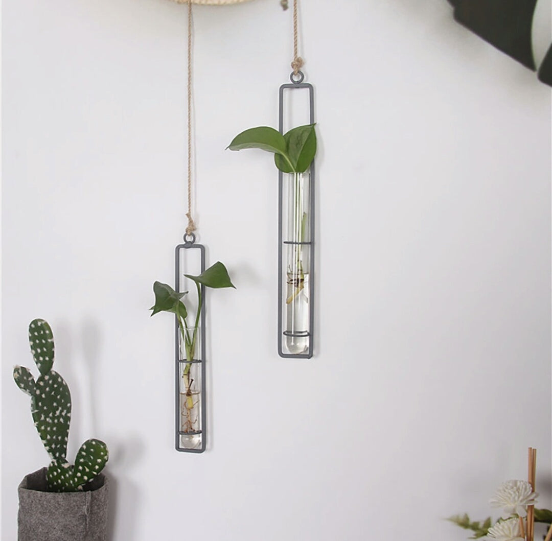 where can I buy hanging hydroponic vase