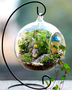 succulent air glass hanging pot