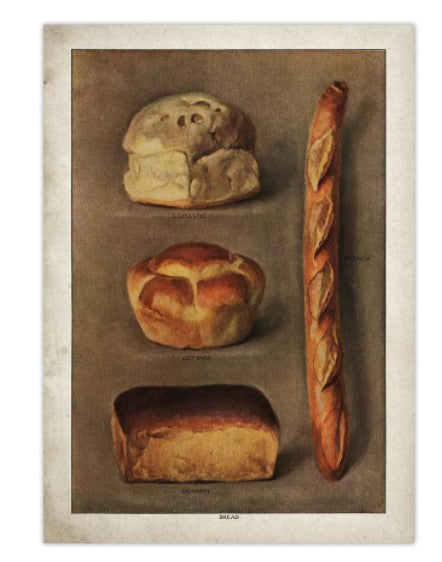 kitchen decor vintage wall poster types of bread