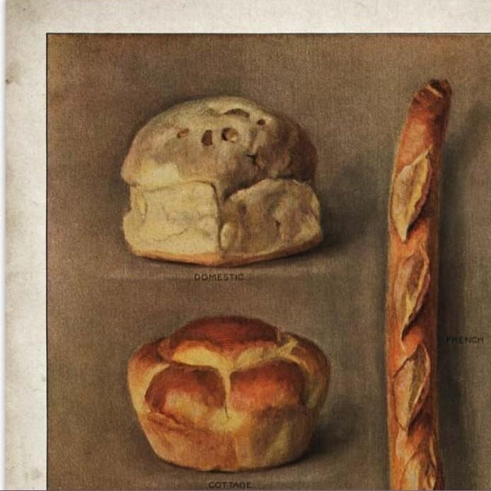 kitchen wall decor poster types of bread