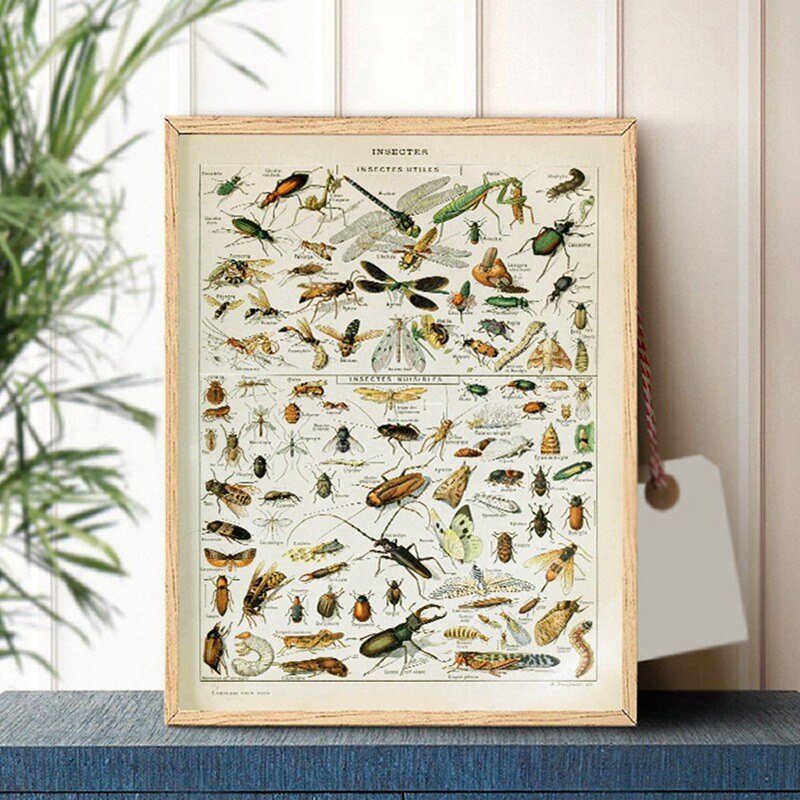 wall poster vintage style bugs insects