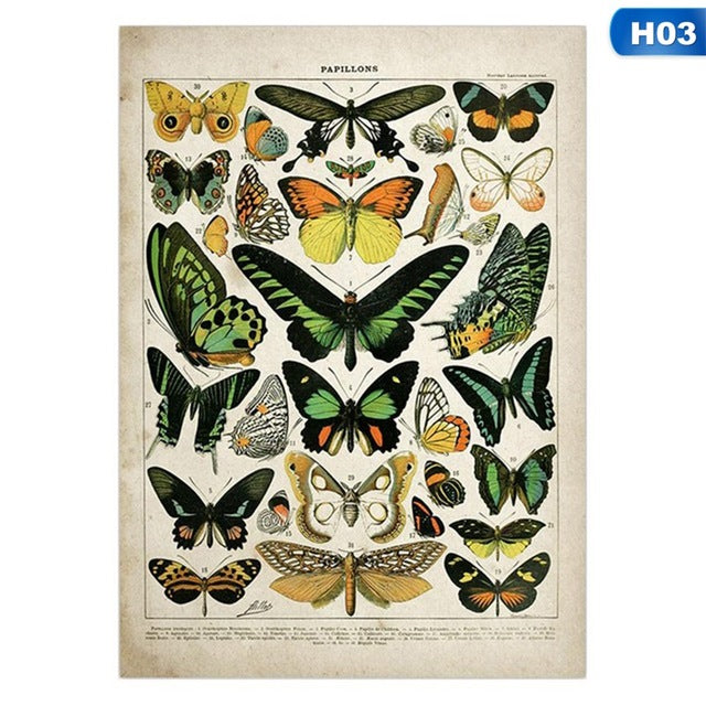 vintage wall poster big butterflies