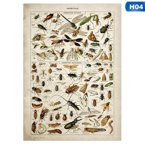 vintage wall poster insects