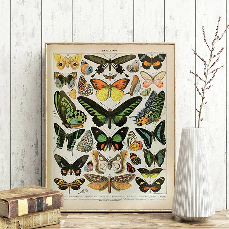 vintage wall poster butterflies