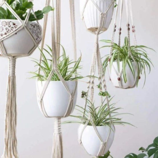 macrame plant hanger buy online