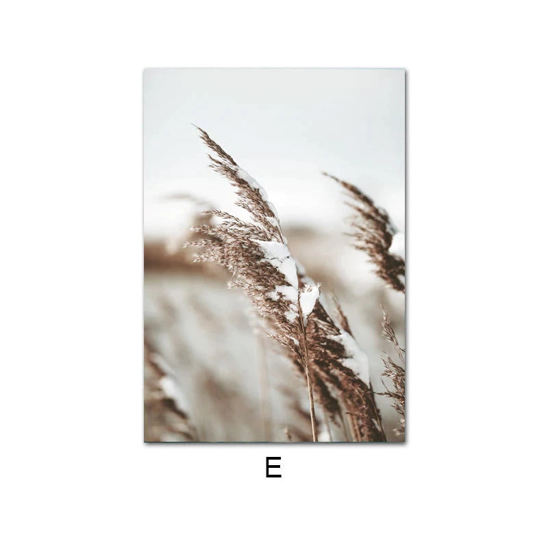 wall poster dry grass buy online