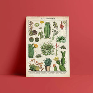 wall poster cactus vintage style decor