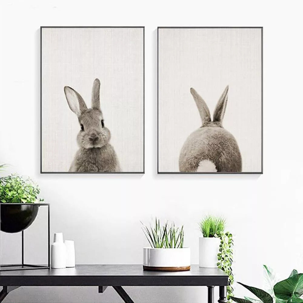 picture rabbit front and back