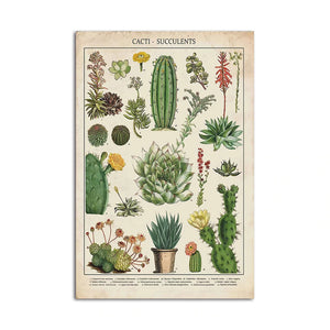 wall decor vintage botanical poster