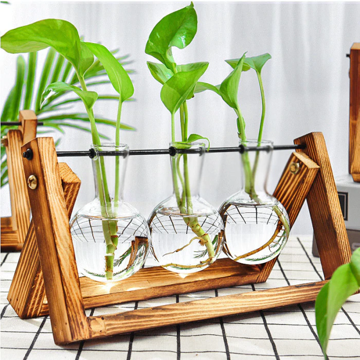desk plants glass vases